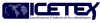 website logo icetex
